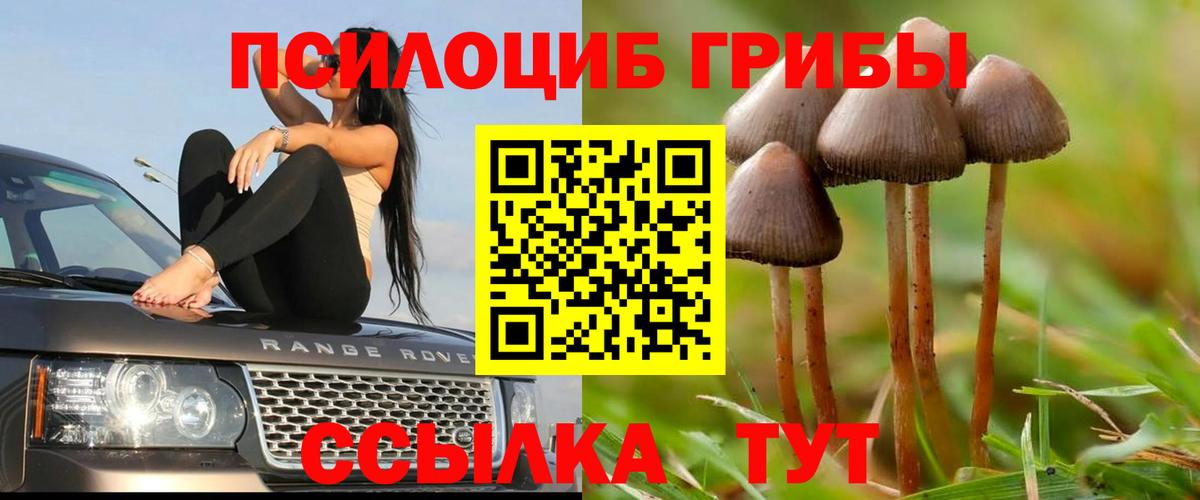 Галлюциногенные грибы Psilocybine cubensis  Вход с VPN  Карасук  Галлюциногенные грибы GOLDEN TEACHER 